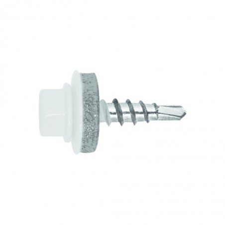 fs_ral_90101-1.tif_normal.png