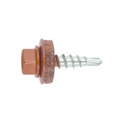 fs_ral_80041-1.tif_normal.png