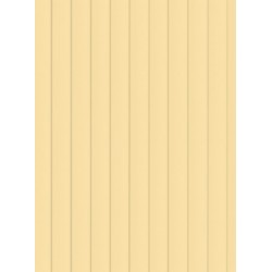 catalogo_507023_TERMO_MADERA%20CARTON%20180%20CAJA.jpg