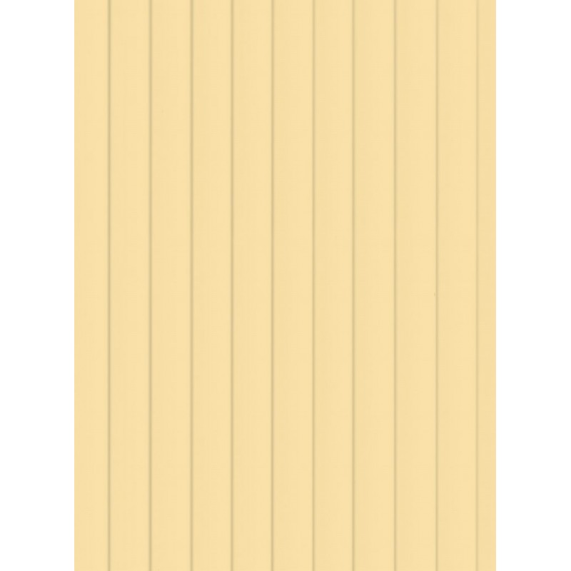 catalogo_507023_TERMO_MADERA%20CARTON%20180%20CAJA.jpg